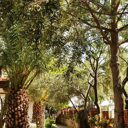 فندق Casa Linn