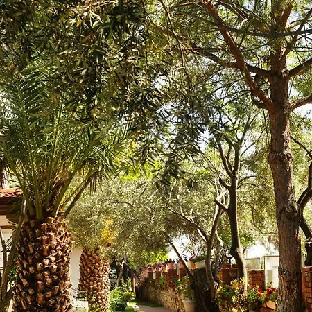 Hotel Casa Linn