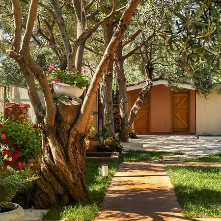 Casa Linn *
